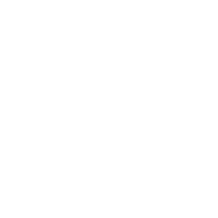 IGP Chianina